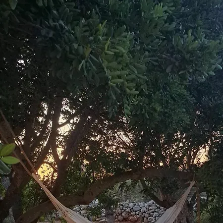 Casa Fig Crete 하니아